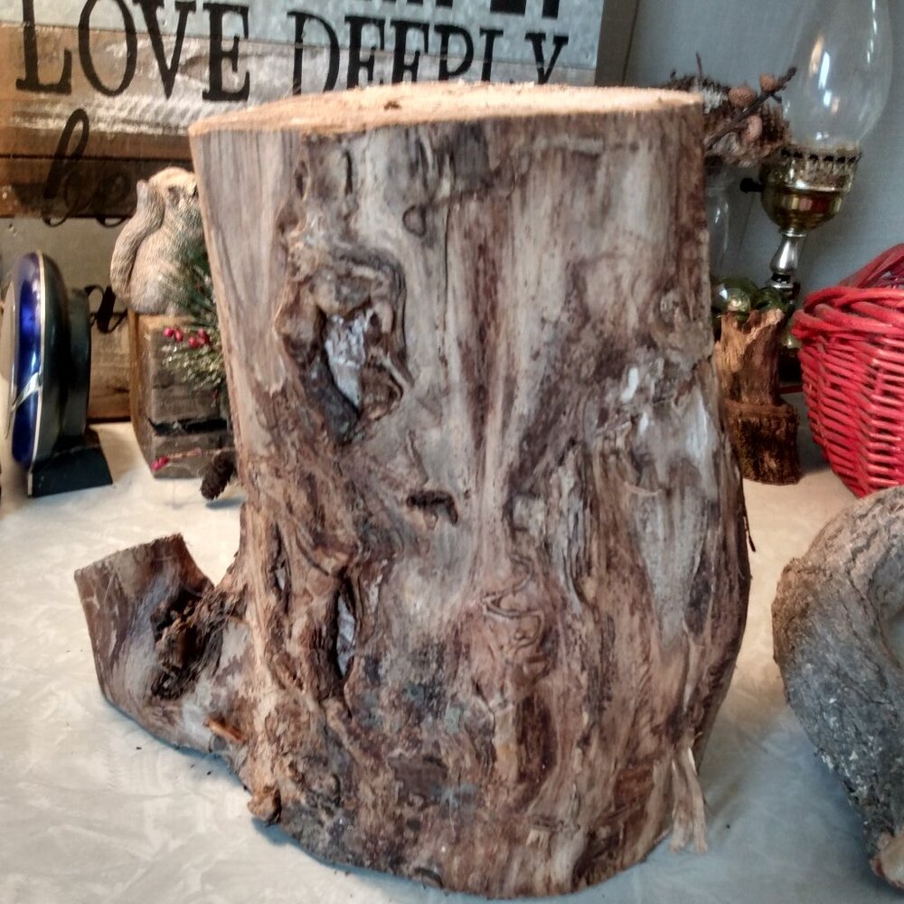 Real Natural Old Wood Tree Stump Garden Art Rustic Accent Taxidermy